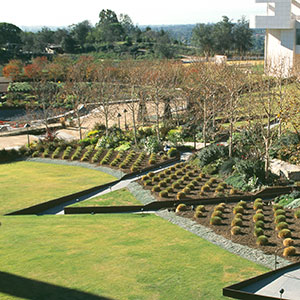 The View from Above: Garden Overlook