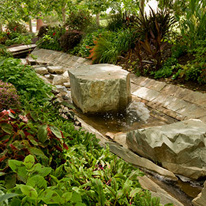 Musical Water: Upper Stream Garden