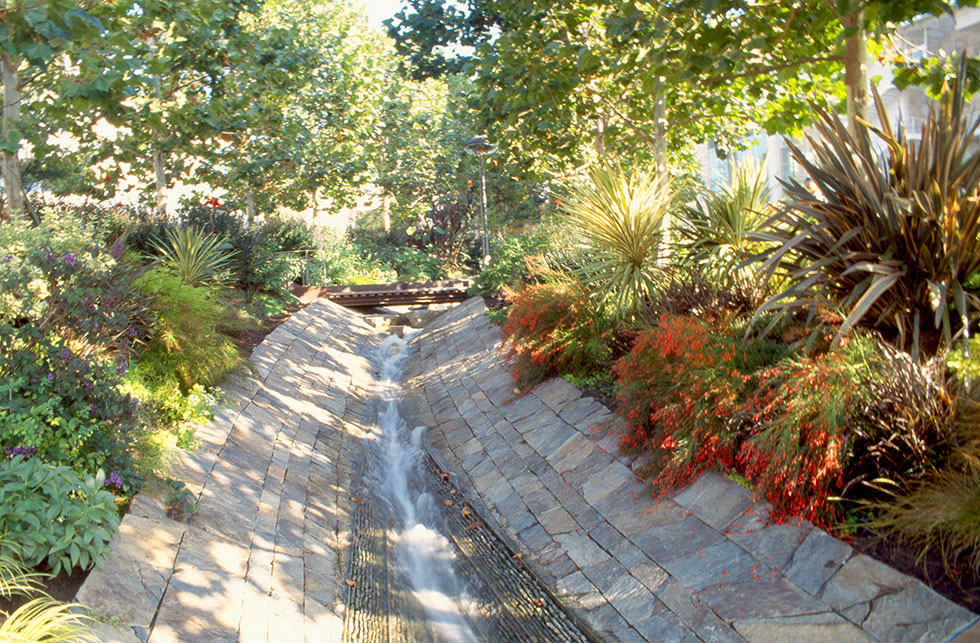 Orchestrated Color: Lower Stream Garden