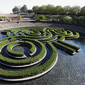 Waterworks: Azalea Pool Overlook