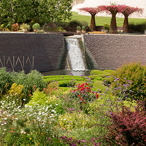 Seasonal Change: Bowl Garden