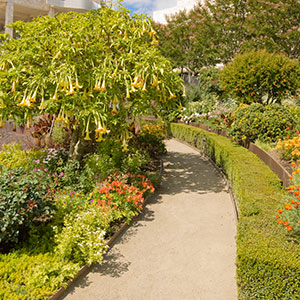 Garden as World: Bowl Garden