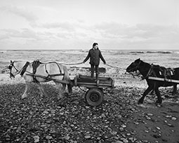 Alison with Two Carts, Seacoal Beach, Lynemouth, Northumberland
