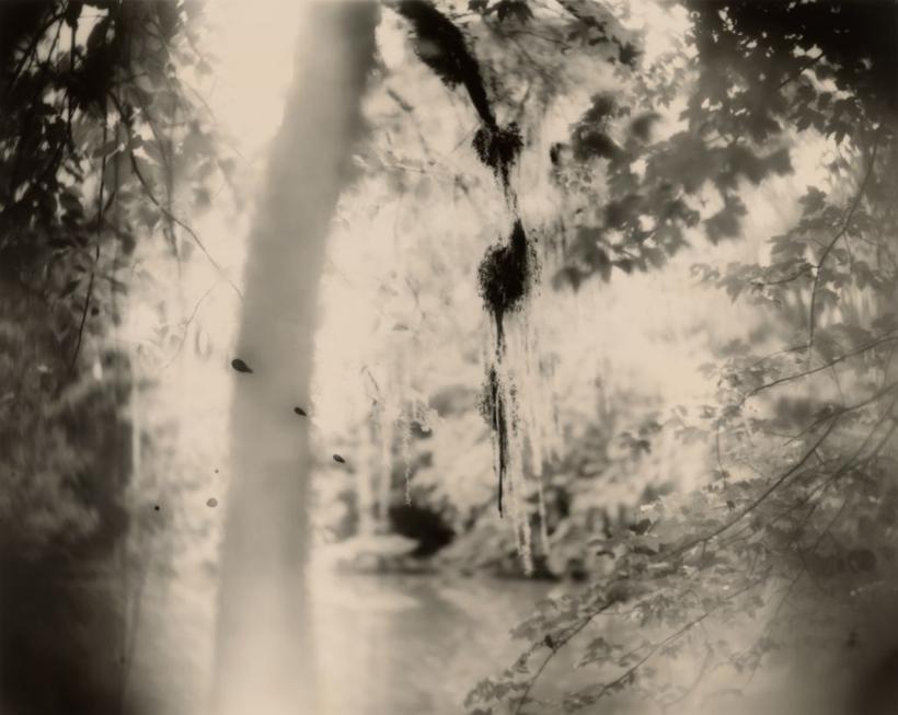 Deep South, Untitled (Three Drips)