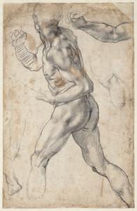 Striding Male Nude, and Anatomical Details