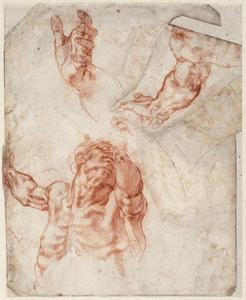 Studies of the Upper Body of a Man; Separate Studies of an Arm, a Hand, and an Ear; Sketch of a Tree