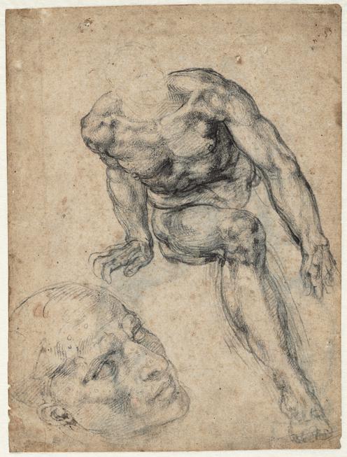 A Male Nude; Separate Study of His Head