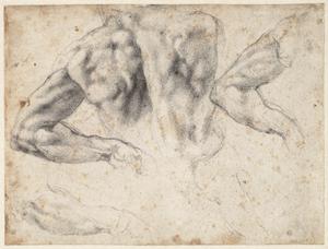 Studies of the Back and Left Arm of a Male Nude